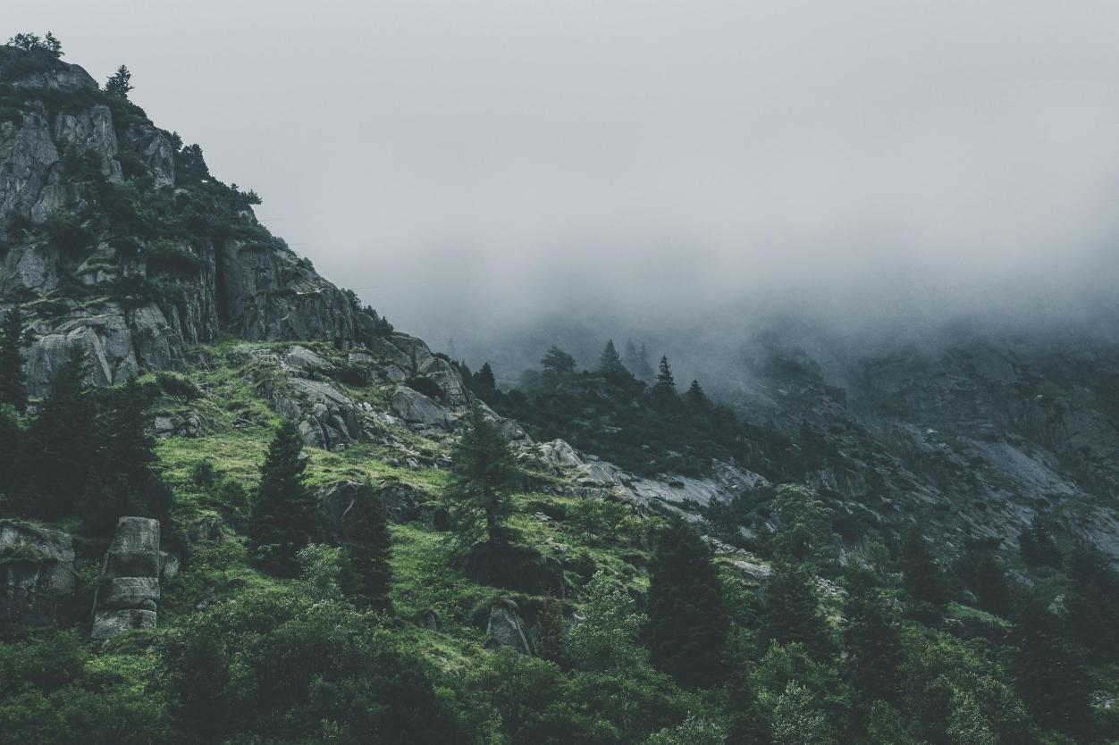 Landscape Banner