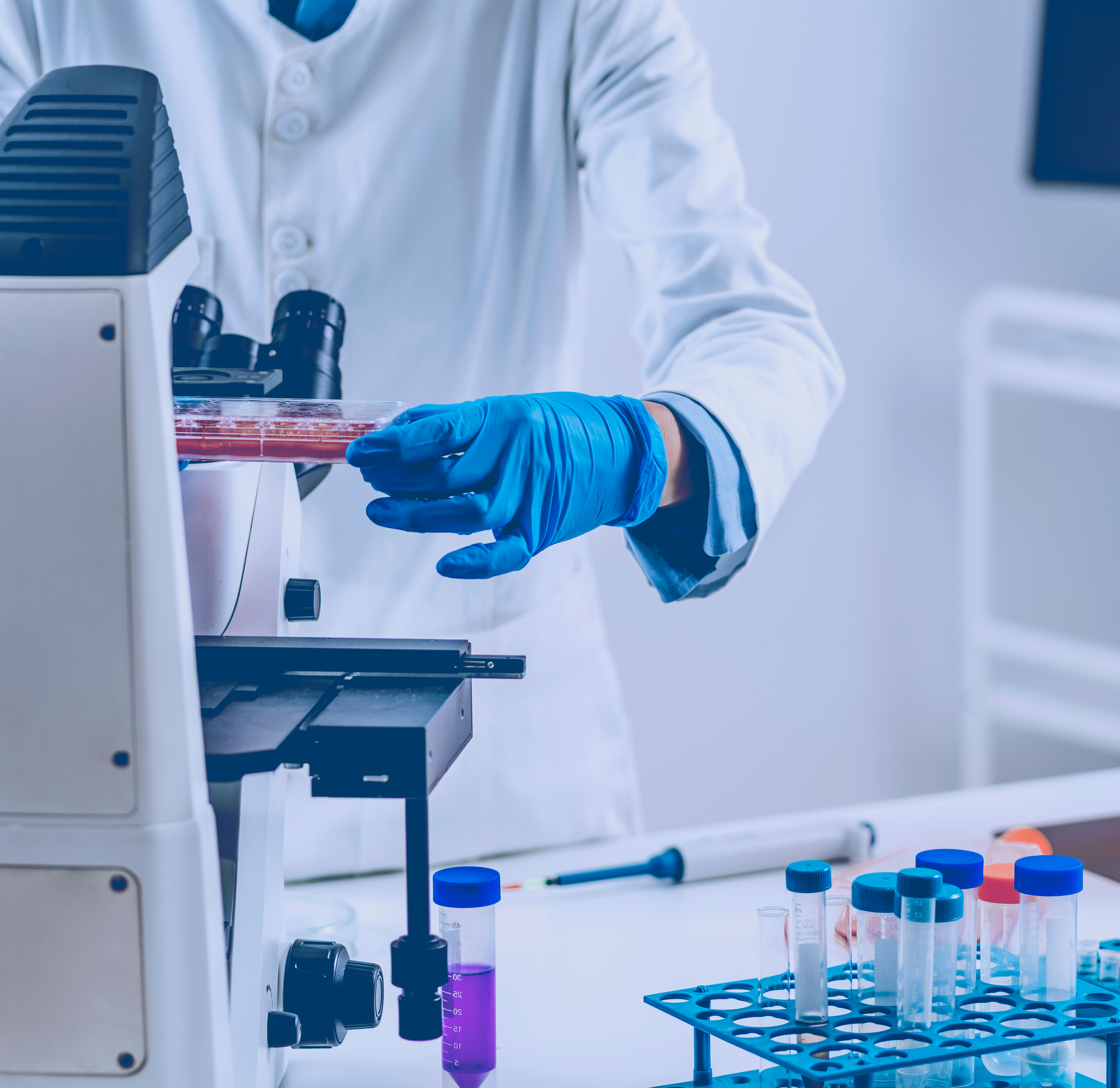 Lab Image